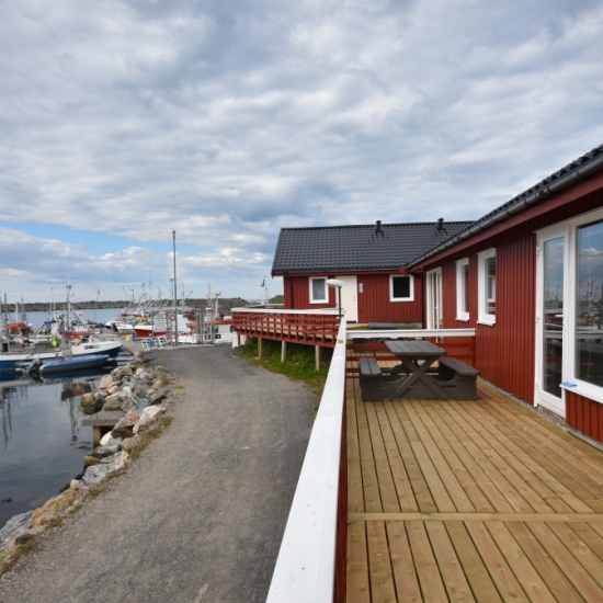 Andenes
